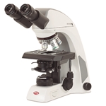 What is a Microscope Used For?