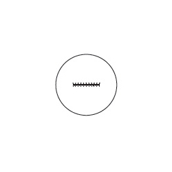 Eyepiece Micrometer - Line