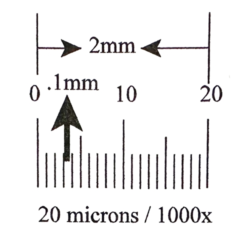 Kr242 Ruler Reticle 2mm In Divisions