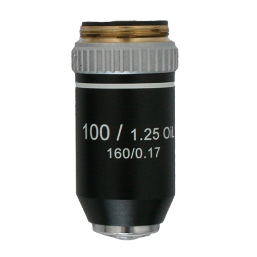 Graan Prime Renovatie Richter Optica Achromat 100x Oil Microscope Objective Lens UX-100A