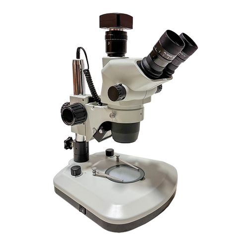 stereo microscope with camera price