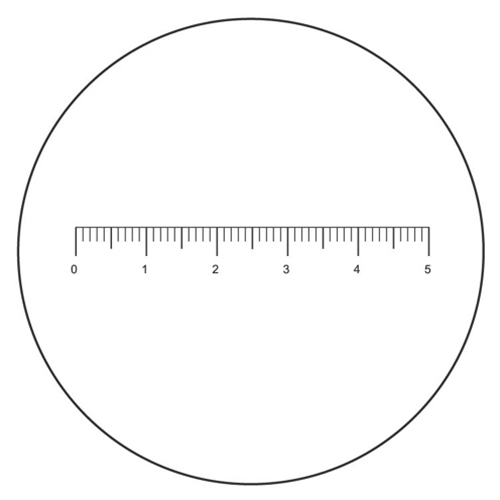 Eyepiece Micrometer - Line 25mm Diameter