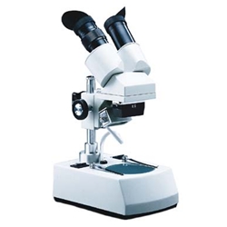 Stereo Microscope