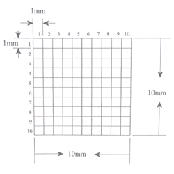 Reticle Grid KR406A KR406B