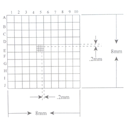 Reticle Whipple KR439