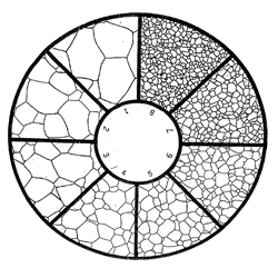 KR808H Grain Counting Reticle