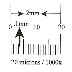 Ruler reticle