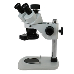 10x 30x Digital Stereo Microscope