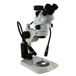 Digital Zoom Stereo Microscope