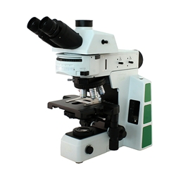 RB50-FL Fluorescence Microscope