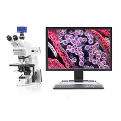 Microscope Ergonomic Work Station