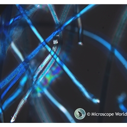 Fiber Analysis under the Microscope