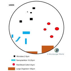 How Changing Magnification Affects Field of View