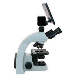 Digital Dental Microscope