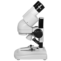 20x stereo microscope