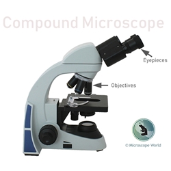 Biological Microscope Eyepiece, Eyepiece Lenses Microscope