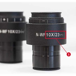 Understanding Stereo Microscopes