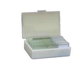 Basic Biology Microscope Prepared Slide Kit