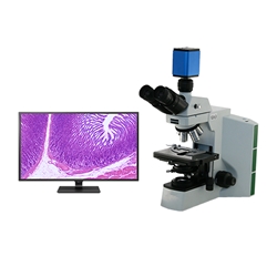 Fein Optic RB40 4K Pathology Lab Microscope