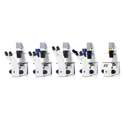 Zeiss Primovert Inverted Microscopes