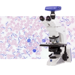 Choosing a Hematology Microscope