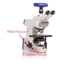 Functions of Fine and Coarse Adjustment Knobs in Microscopes