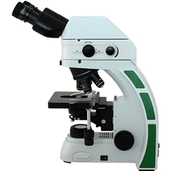 Fluorescence Microscopy