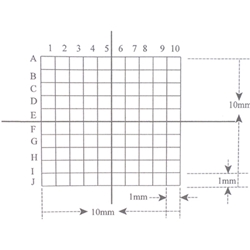 How to Use a Microscope Stage Micrometer and Eyepiece Graticule (Reticle)