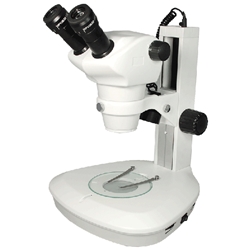 What Are Stereo Microscopes Used For?