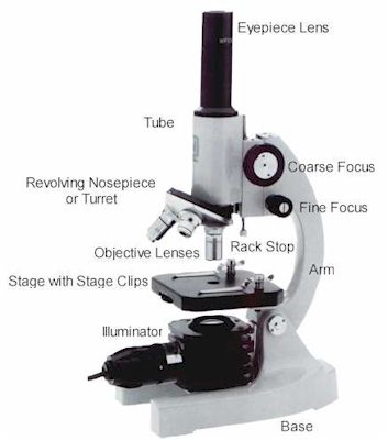 Diagram of a light microscope with labels