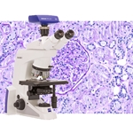 Zeiss Pathology Microscopes