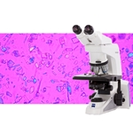 Zeiss microscopes designed specifically for identifying gout.