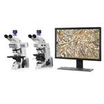 Zeiss Upright Materials Microscopes