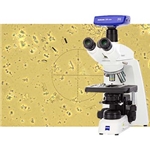 ZEISS Asbestos Microscopes
