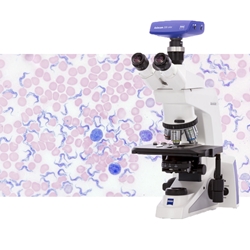 Zeiss Hematology Microscopes
