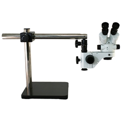 Stereo Microscopes