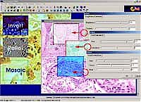 Image processing software feature