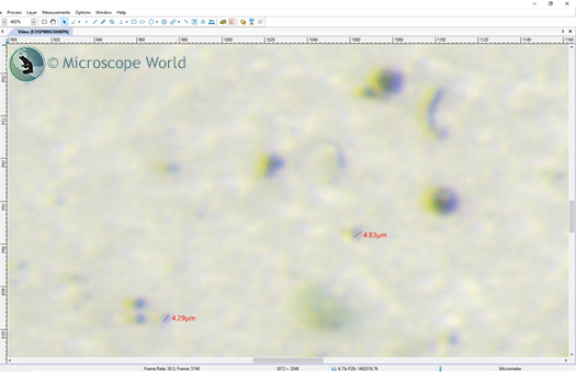 Software image zoomed in 400% Software image zoomed in 400%