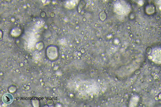 Emulsion under the microscope using 0.5x c-mount adapter. Emulsion under the microscope using 0.5x c-mount adapter.