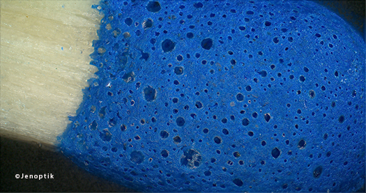 Z-Stack Microscopy Image of Match Head using Jenoptik Subra Camera Z-Stack Microscopy Image of Match Head using Jenoptik Subra Camera