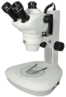 Stereo Zoom Microscope for Colleges and Universities Stereo Zoom 8x-50x Microscope