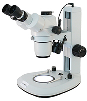 Stereo Microscope Stereo Microscope