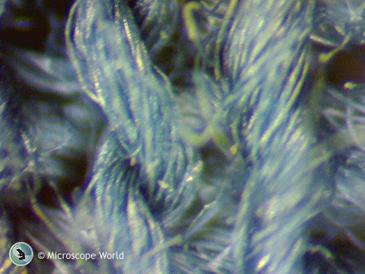 Fabric under microscope. Fabric weave under microscope.