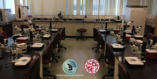 University Lab Microscope Setup University Lab Microscope Setup