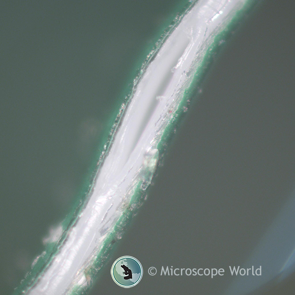 Potato Chip Bag Seal Under Microscope 100x Potato Chip Bag Seal Under Microscope