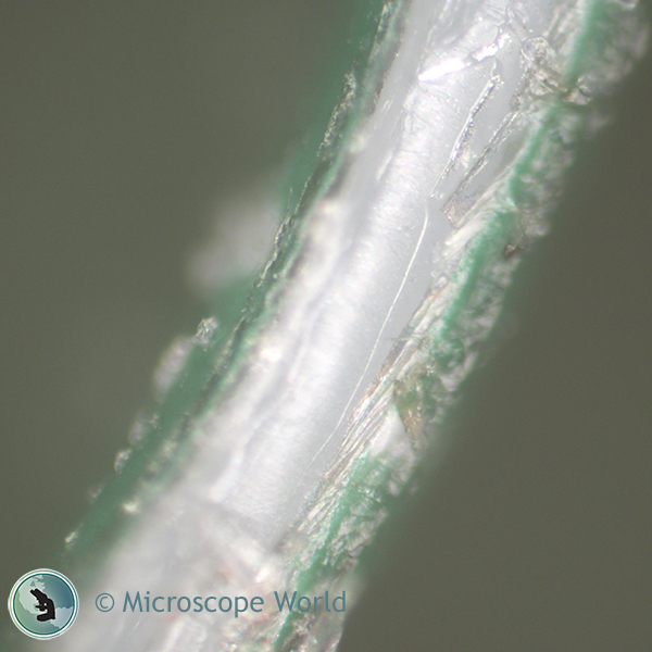 Potato Chip Bag Seal Under Microscope 200x Potato Chip Bag Seal Under Microscope