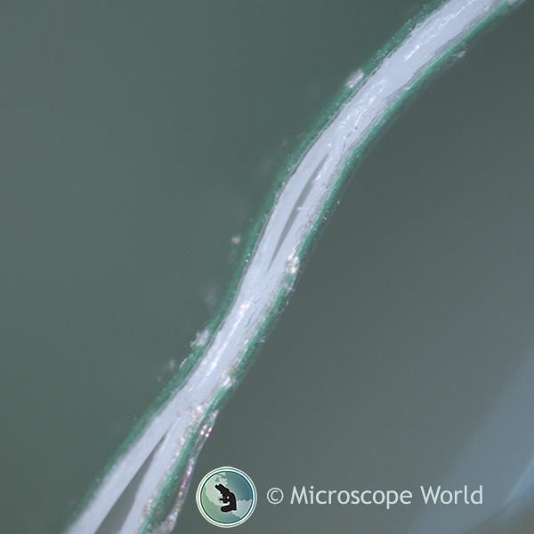 Food packaging seal under the microscope at 50x. Food packaging seal under the microscope at 50x.