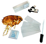 Microscope Starter Kit Activity Set
