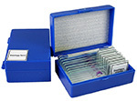 Microscope Prepared Slides